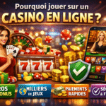 Pourquoi jouer sur un casino en ligne ?
